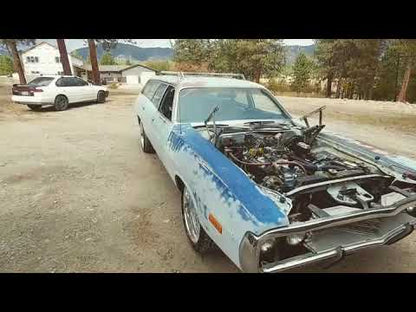 318 WHIPLASH CAM